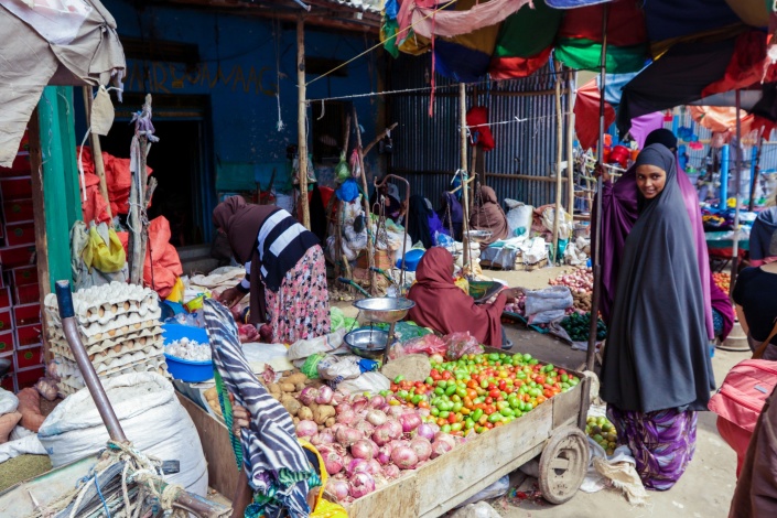 Lokal matmarknad i Somalia för grönsaker med kvinna i traditionell grå klädsel. Istock Photo Lokal matmarknad i Somalia för grönsaker med kvinna i traditionell grå klädsel. Istock Photo