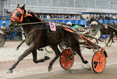 Spitcam Jubb vinnare av Lyon Grand Prix Summer Meeting Stayer, Final (Gr II Int) på Åby 12/8-2017 Spitcam Jubb vinnare av Lyon Grand Prix Summer Meeting Stayer, Final (Gr II Int) på Åby 12/8-2017