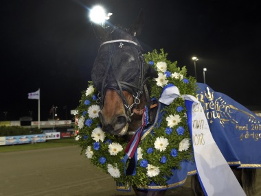 Selmer I.H. vinnare av RS Mustang - Breeders' Crown - Fyraåriga Hingstar/Valacker - Final (Gr I, Int.) Eskilstuna 11/11-2018 Selmer I.H. vinnare av RS Mustang - Breeders' Crown - Fyraåriga Hingstar/Valacker - Final (Gr I, Int.) Eskilstuna 11/11-2018