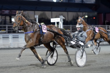 Perfect Dynamite med Ante Lisell Perfect Dynamite med Ante Lisell
