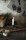Trend056_92077-22_trend01