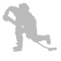 Reflexer - Hockeyspelare