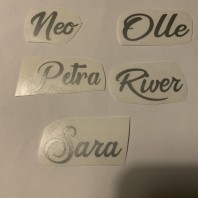 Namn på N-S i silver outlet