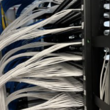 Trunkcable 2