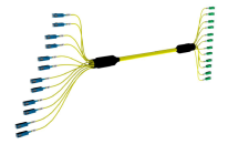 Preconnected fiber 2