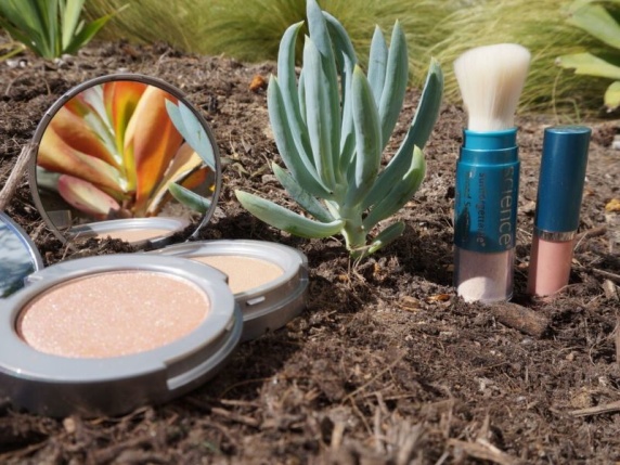Colorescience Colorescience