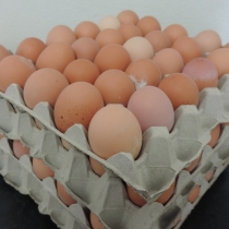 Våra ägg i gårdsbutiken äggboden