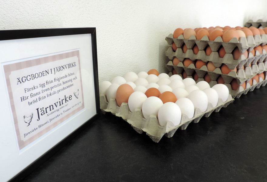 I vår gårdsbutik Äggboden i Järnvirke mellan Falkenberg & Varberg mitt i Halland kan du köpa fack med vita eller bruna ägg från frigående höns.