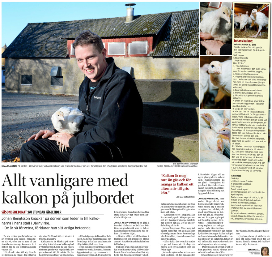 EB Fågel Kalkonfarm - kalkonuppfödning i Borrås mitt i Halland