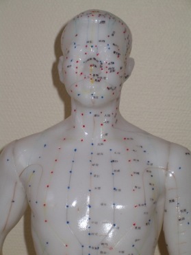 Akupunkturpunkter - huvud och bröstkorg