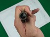 Colt Model 1860 Army Revolver, #138804