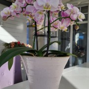 20230301_144754-scaled