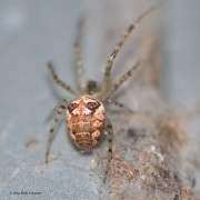 DSC_0438_14310-2-sign