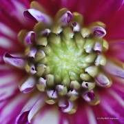 DSC_0473_14553-2-sign-scaled