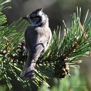 DSC_0656_13505-3-sign
