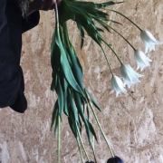 Skarmavbild-2025-04-22-kl.-17.08.49