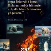 sen-sabbade-l-scaled