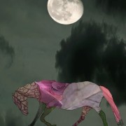 Blomstervarld-springblomma-scaled