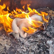 Hanna Carlsson bild 4