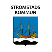 Gruppsession Strömstad