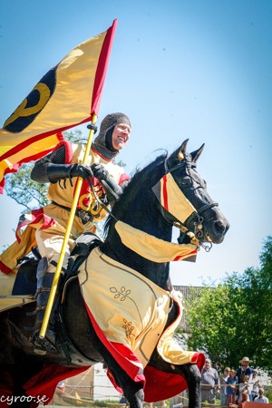 P.R.E hingsten Liston vann både Individuellt klassiskt tornerspel och Mounted skills at arms! Foto: cyroo.se P.R.E hingsten Liston vann både Individuellt klassiskt tornerspel och Mounted skills at arms! Foto: cyroo.se