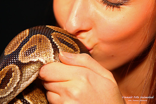 Efter en viss påtryckning fick jag Paulina att pussa ormen....