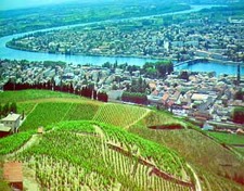 Tain l'Hermitage, en hemort för Rhôneviner Tain l'Hermitage, en hemort för Rhôneviner