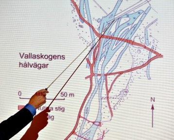 Hålvägar i vallaskogen Hålvägar i vallaskogen