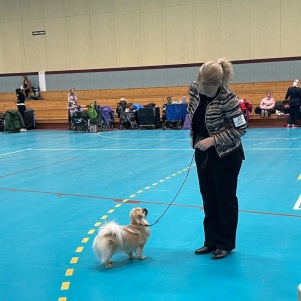 Caia SSTS Eskilstuna 2025