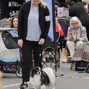 Dino 1Ökl Västerås våren 2025