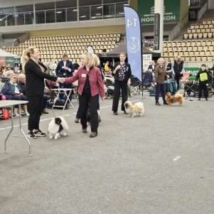 Dino 1Ökl Västerås våren 2025 3