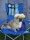 Caia Gimo IDS 2BT Cert J-cacib Bir-junior Bild2