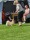Caia Leksand IDS 2 BT Cert J-cacib BIR-junior