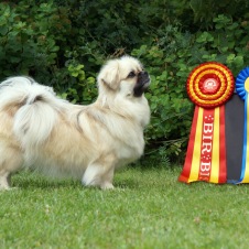 EsslexEnjoyBISKalmar25