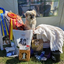 Alla fina BIS-vinster i Kalmar.