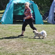 Caia Kalmar 2025 BIS