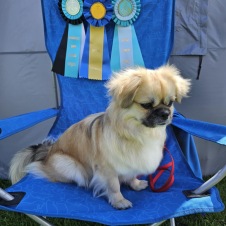 Leksand Int BIR-Junior BT-2 CERT Domare Jenny Öhqvist