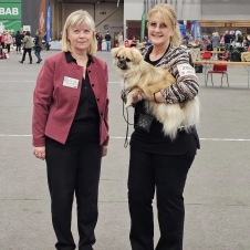 Caia BIRJUNIOR Västerås Nat Domare Marie Gadolin