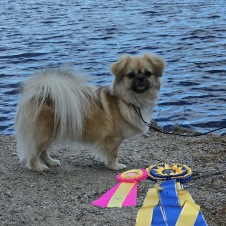 Rosetter Sundsvall Nat 2025