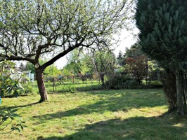 trädgård trädgård
