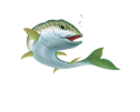 Bio-Marin Plus 90tab