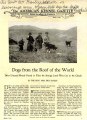Dogs from Roof of the world 1