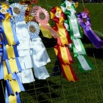 Will one of these be mine? 