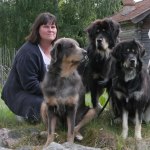 My dogs 3 IMG_8488