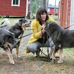 Bod Khyi Skarma 3 puppies 