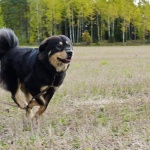 Yoga in long lead