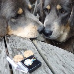 sisters looking at Aquilas medal