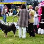 Dogshow time to go  home mummy 