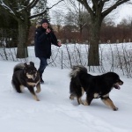 Aquila wants to run 