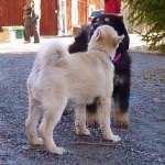 kiss on cheek 